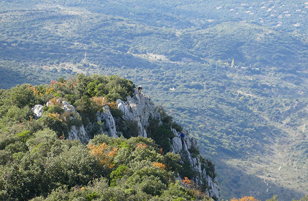 Pic-Saint-Loup-realisation-biodiversite
