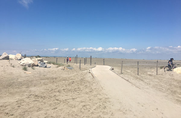 plan-de-paysage-camargue-realisation-biodiversite