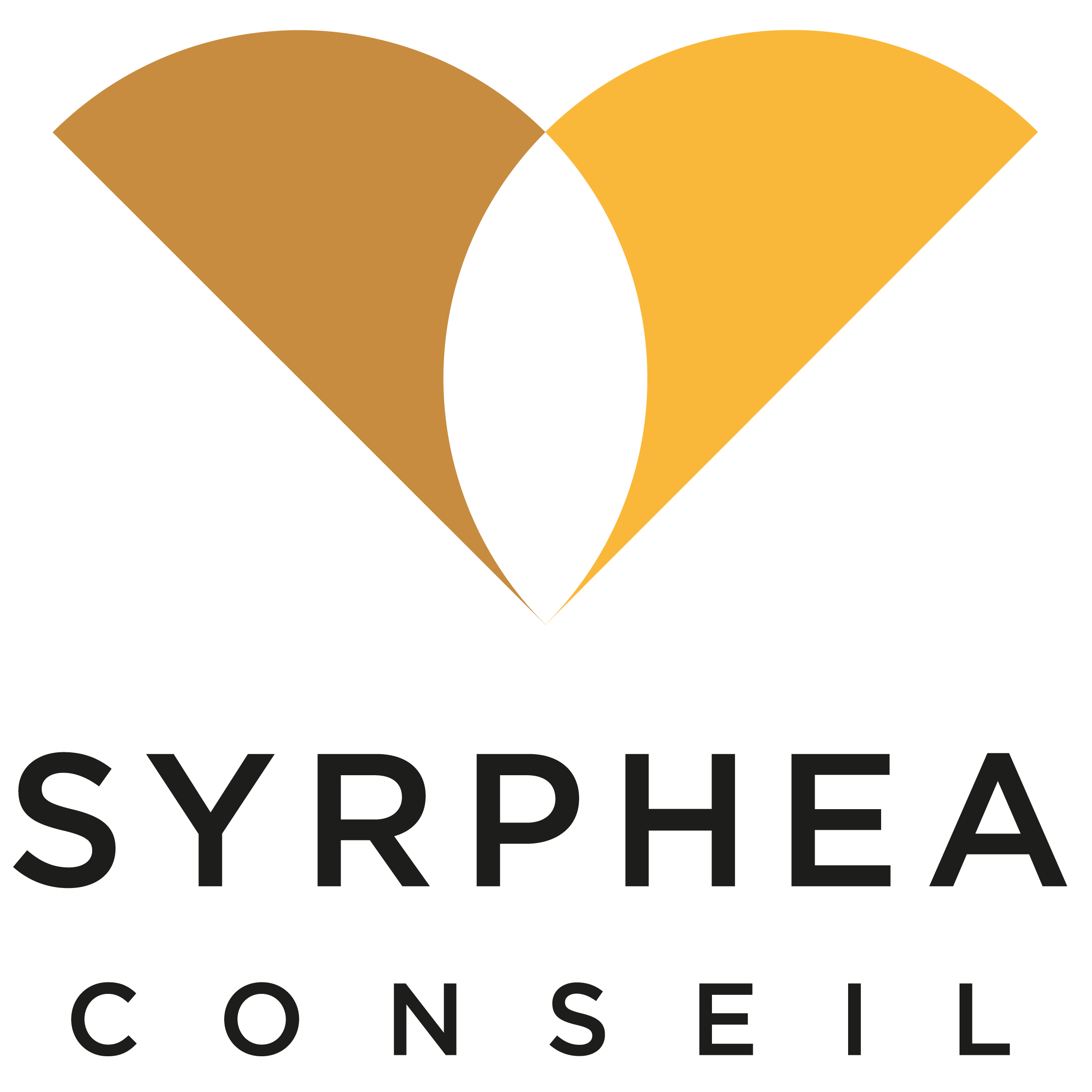 Syrphea